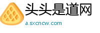 头头是道网